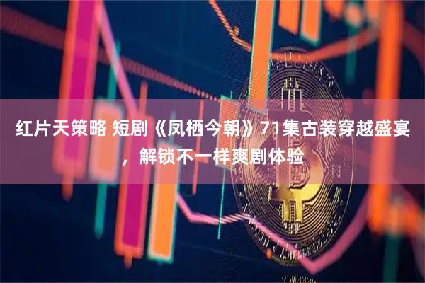 红片天策略 短剧《凤栖今朝》71集古装穿越盛宴，解锁不一样爽剧体验