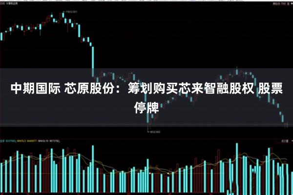 中期国际 芯原股份：筹划购买芯来智融股权 股票停牌