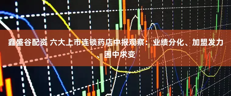 鑫盛谷配资 六大上市连锁药店中报观察：业绩分化、加盟发力、困中求变