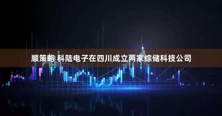 顺策略 科陆电子在四川成立两家综储科技公司