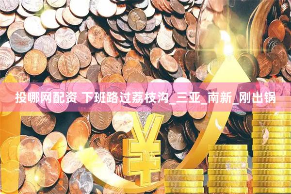 投哪网配资 下班路过荔枝沟_三亚_南新_刚出锅