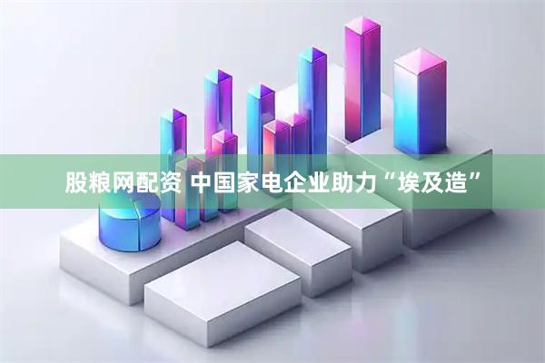 股粮网配资 中国家电企业助力“埃及造”