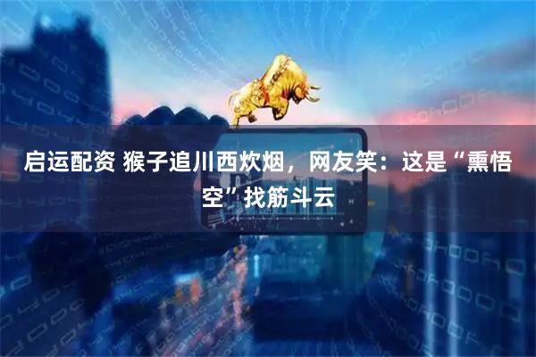 启运配资 猴子追川西炊烟，网友笑：这是“熏悟空”找筋斗云
